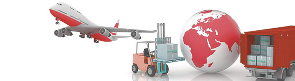 Mudanzas Internacionales