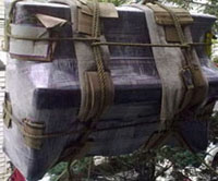 sevicio de fletes y mudanzas